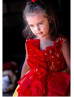 Red And Yellow Lace Tulle Chic Flower Girl Dress